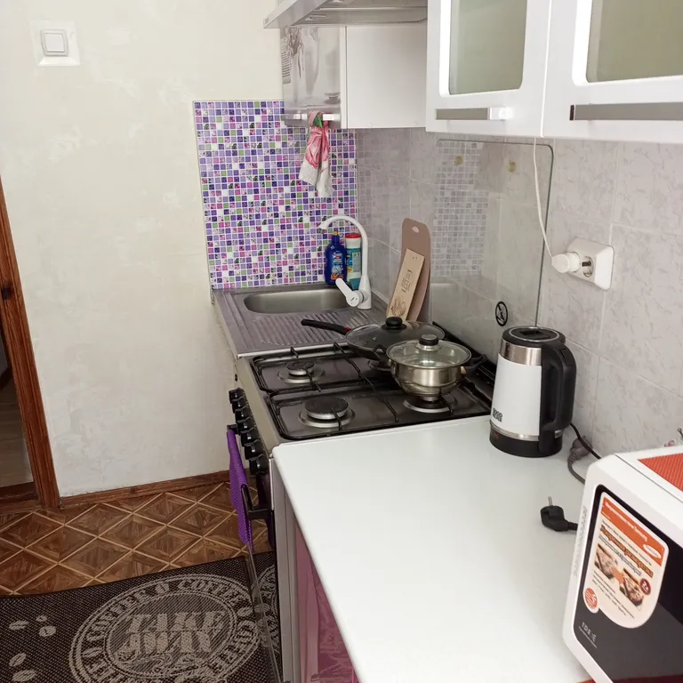 Уютная квартира в центре города с ремонтом