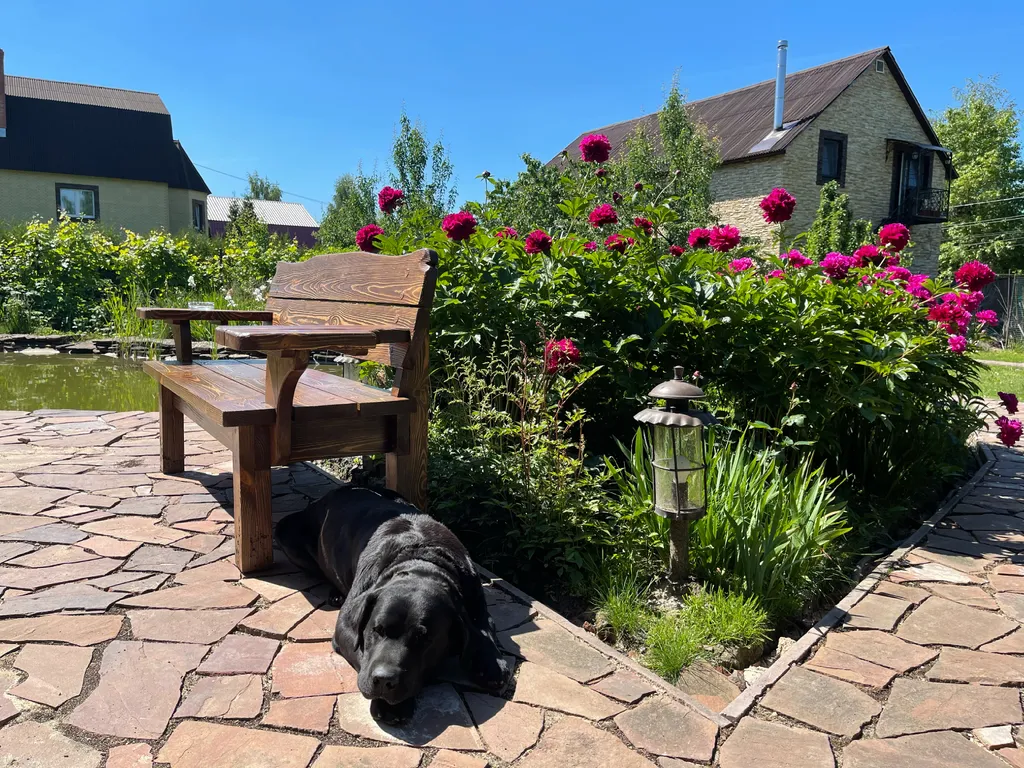 Коттедж Лучший дом на Дмитровском шоссе с джакузи, хамам и русским бильярдом — Лобня