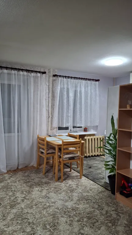 Квартира- студия, есть всё необходимое