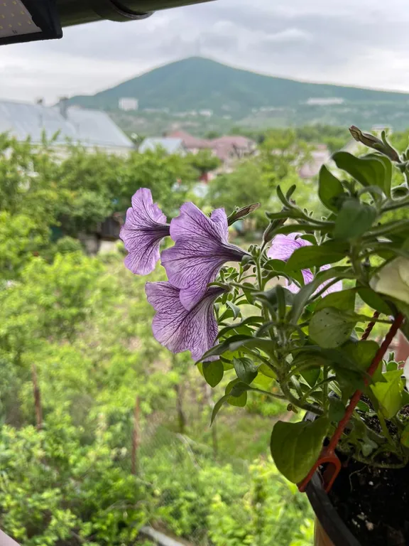 Уютная комната в доме с ванной комнатой