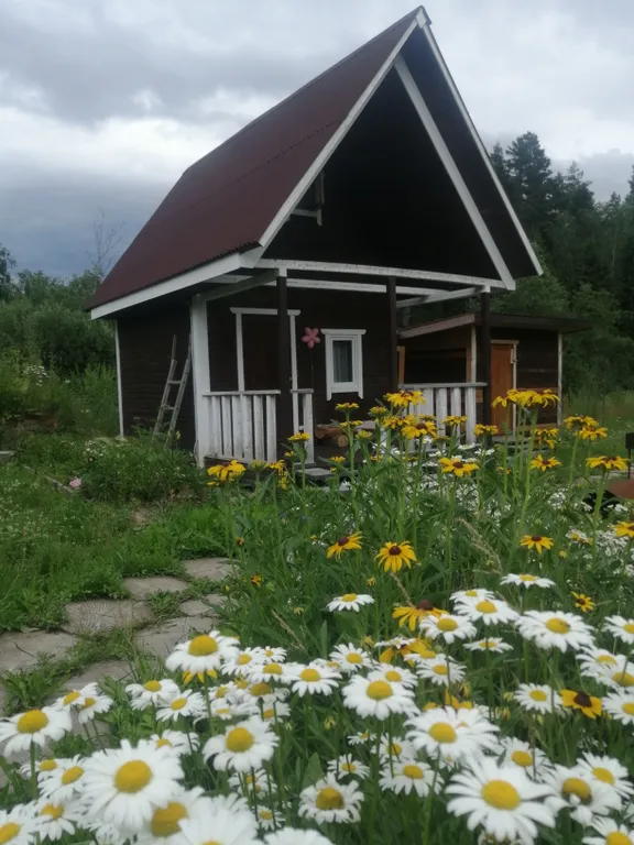 Коттедж Экодомик у реки — Сясьстрой