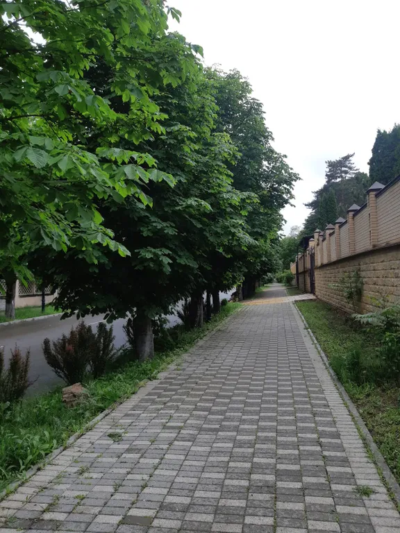 Двушка с видом на парк