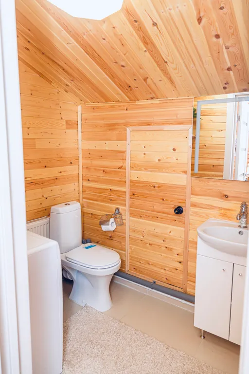 Дом-дача у Мишутки имбирный