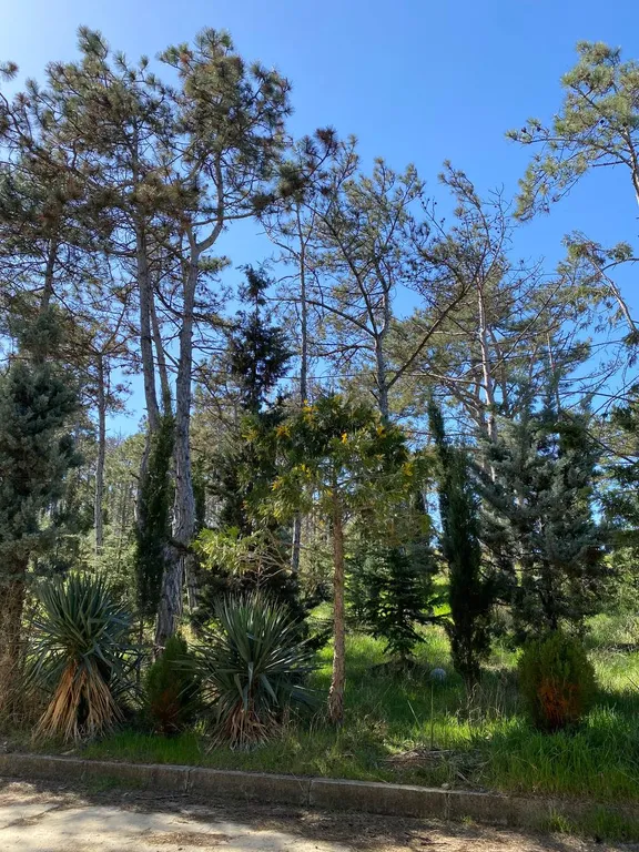 Квартира Квартира Студия со свежим ремонтом с видом на море в Учкуевке — Севастополь