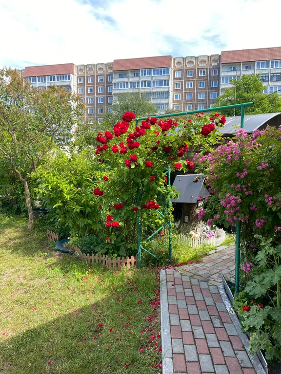 Квартира в домике