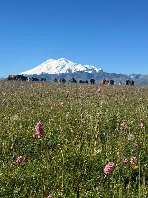 Уютные коттеджи с видом на Эльбрус