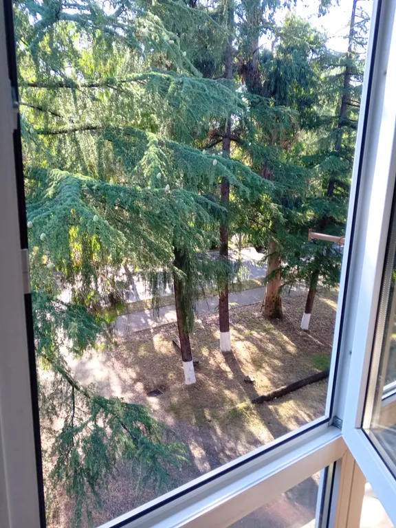 Квартира Квартира рядом с морем — Сухум