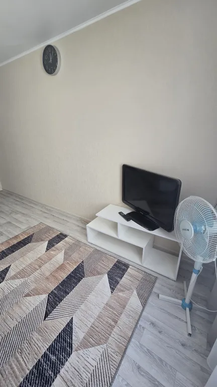 Уютная однокомнатная квартира в центре города