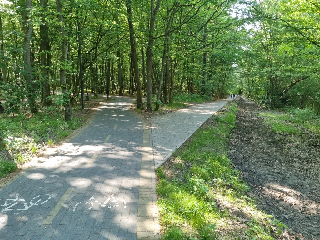 Квартира Просторная квартира на Балтийском побережье — Светлогорск