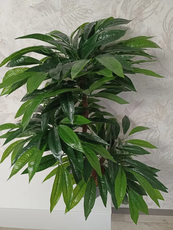 Дизайнерская студия сети все в гости у ФОК Арена