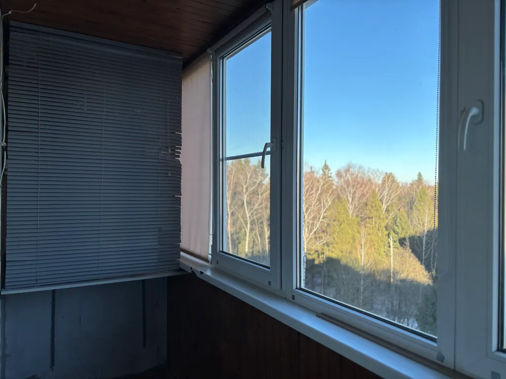 Однокомнатная квартира у озера Лесное