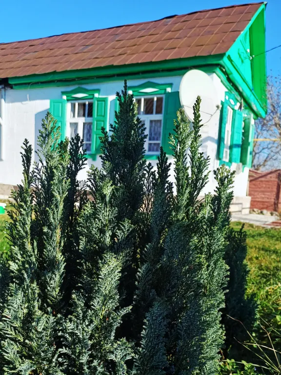 Гостевой домик " белый лис"