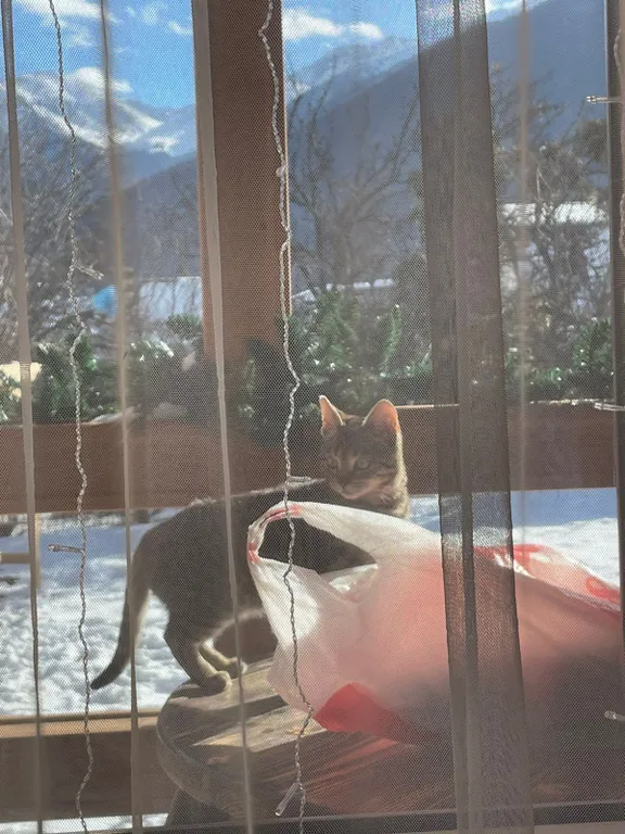 Коттедж Барнхаус с видом на красивый пейзаж Домбайских гор — Теберда