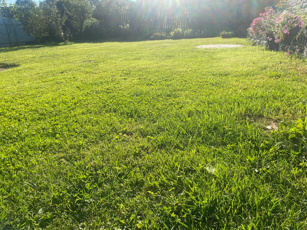 Уютный дом в черте города