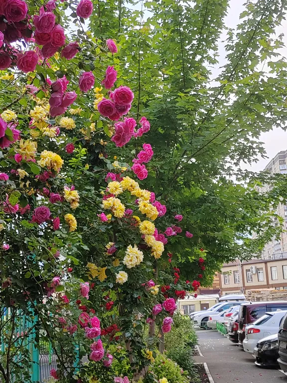 Квартира Комфортная квартира близко к центру, ТЦ Красная площадь, Вузам, ККБ — Краснодар