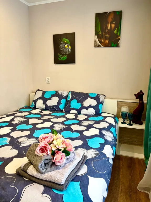 Квартира в центре города, рядом музей Янтаря, верхнее озеро и северный вокзал