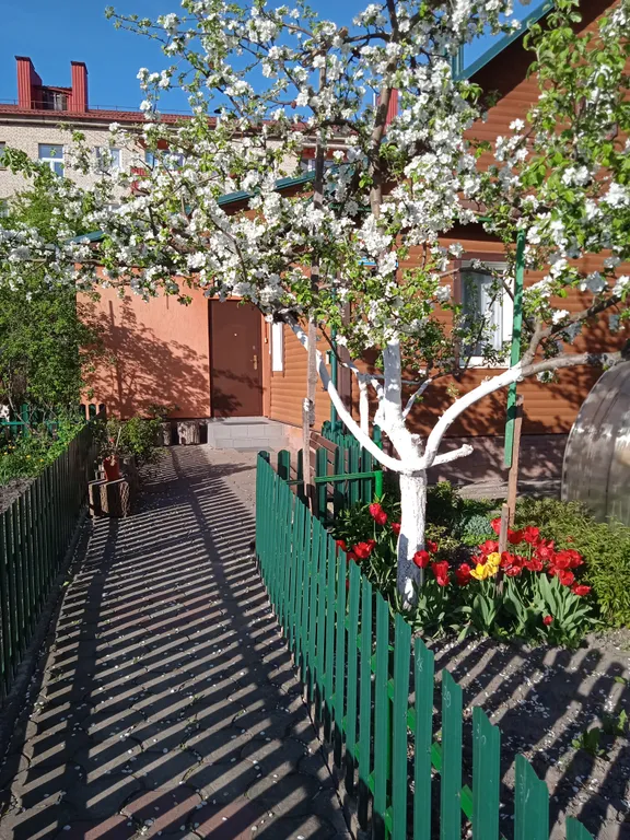 Уютная квартира в центре города