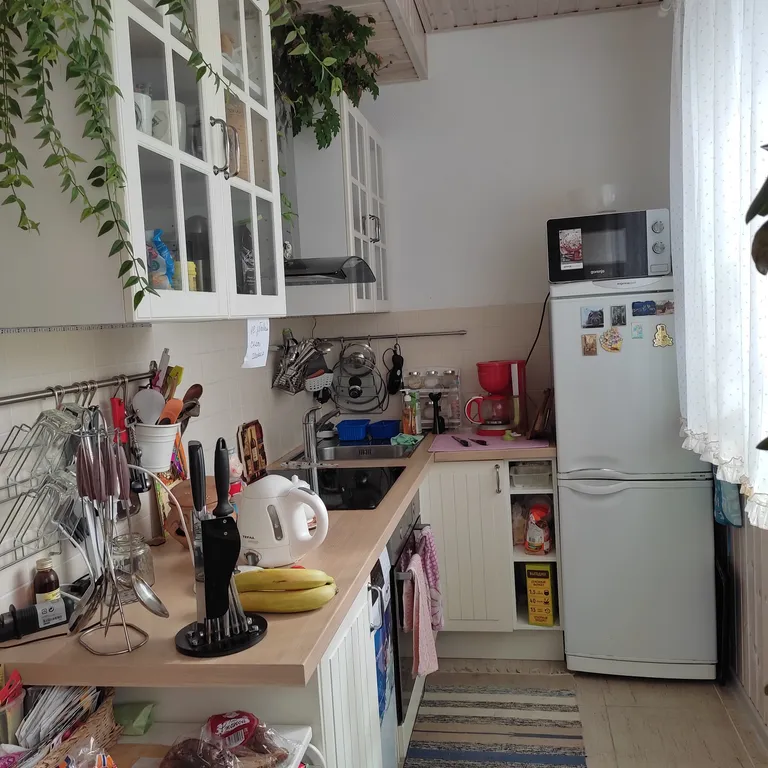 Домик у леса