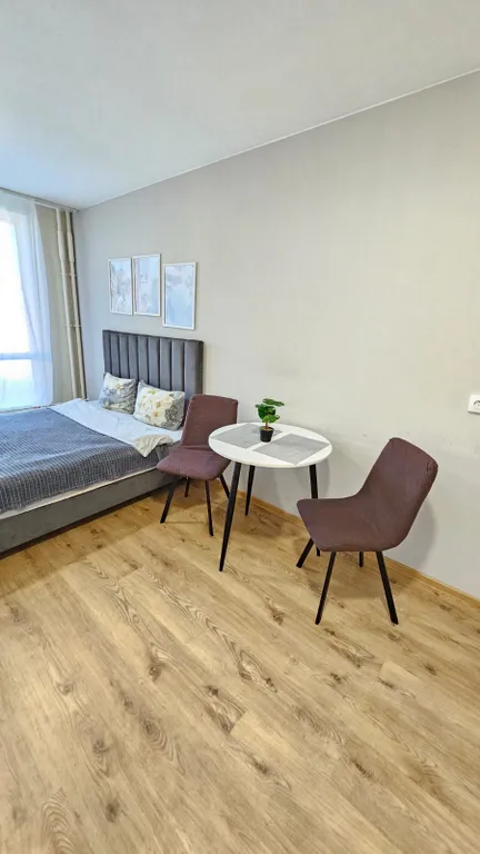 Студия у метро Парнас