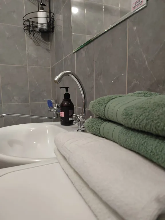 Квартира Квартира-студия, 20,5 м² — Лобня