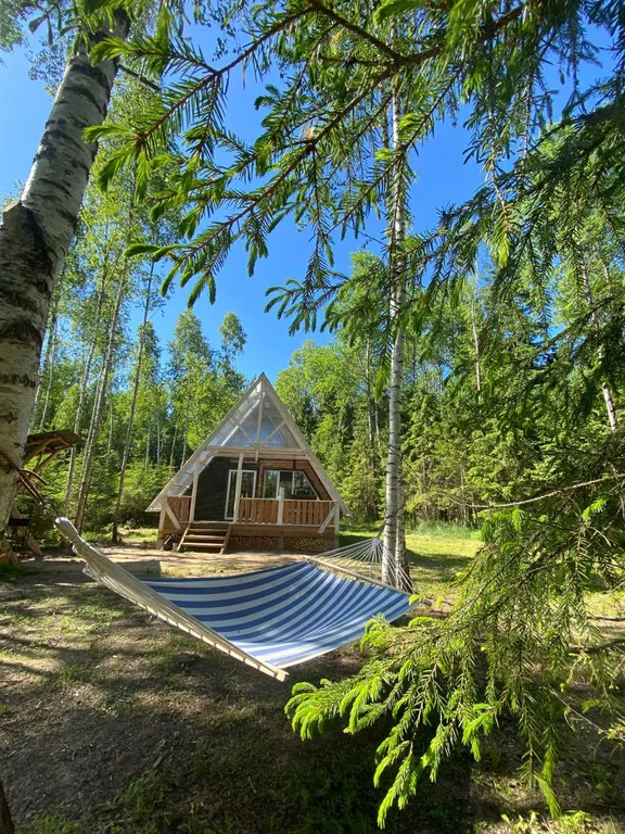 Авторский домик  В ЛЕСУ - "ШалаШик"