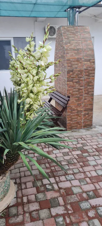 Квартира Квартира Люкс на берегу моря — Евпатория