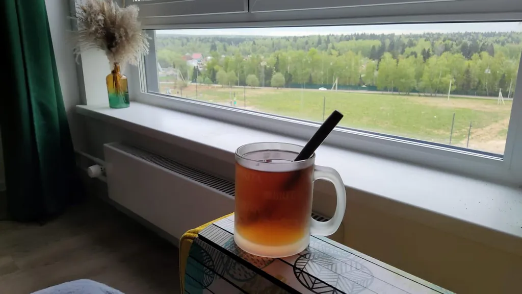 1 комнатная квартира лес