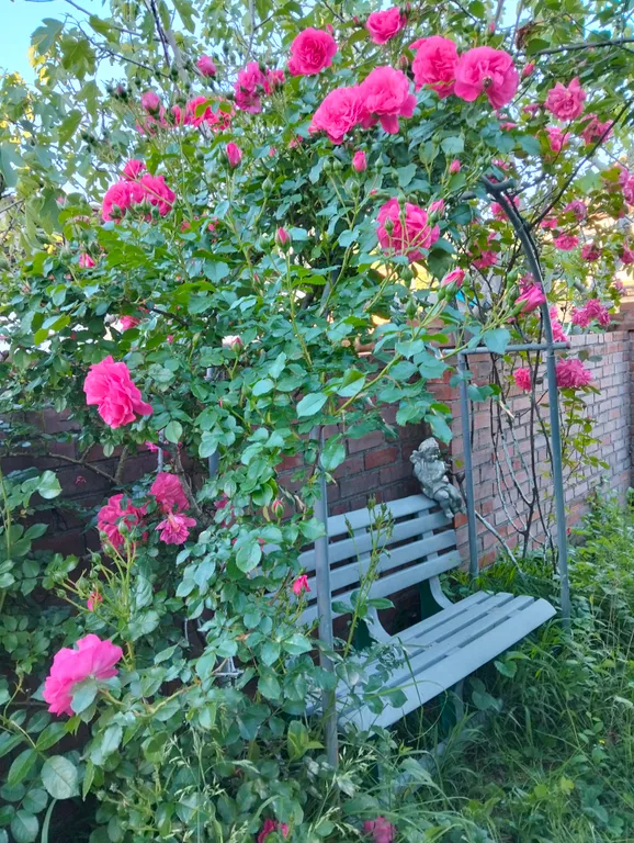 Уютная комната у моря