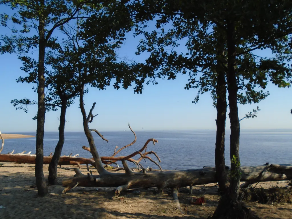 Квартира Уютная квартира на побережье — Ломоносов