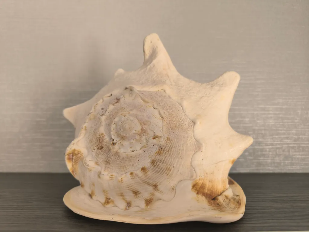 Квартира Квартира у центра с панорамным видом на море и Херсонес Таврический — Севастополь