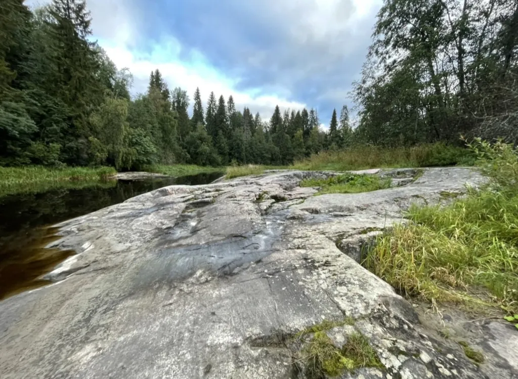 Дом для вас