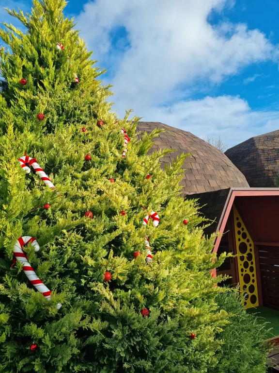 Коттедж Дизайнерский номер с граффити — аренда посуточно в Благовещенская