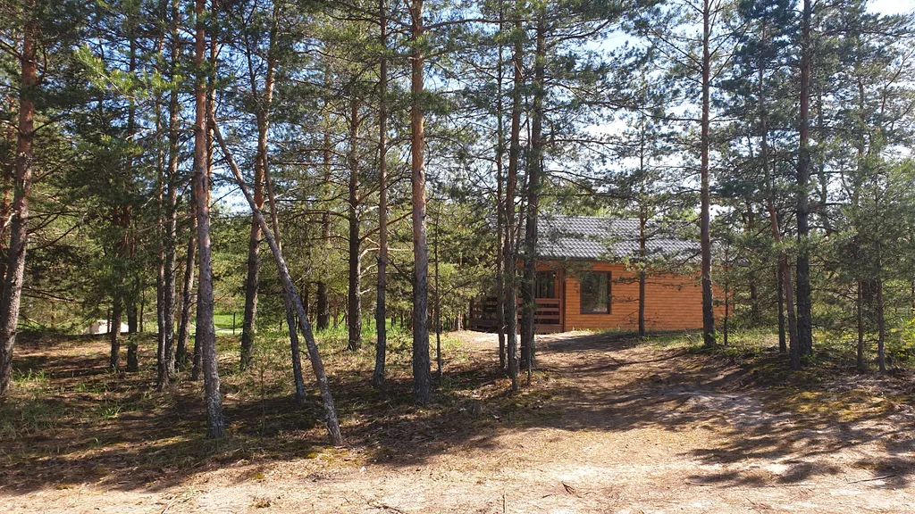Дом в лесу