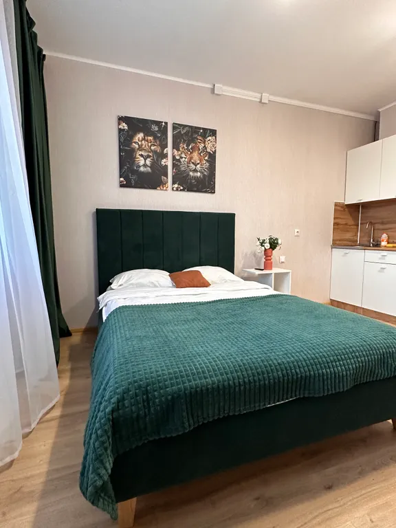 Квартира Апартаменты около ТочМаш и Арт Дворца — аренда посуточно в Владимир