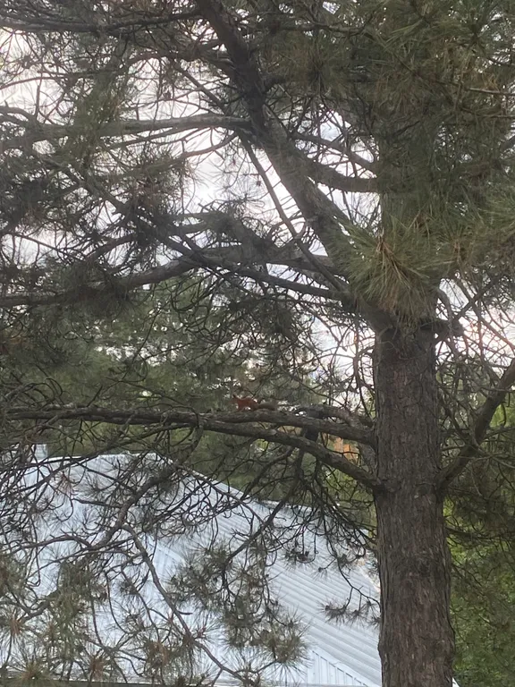 Квартира комфорт