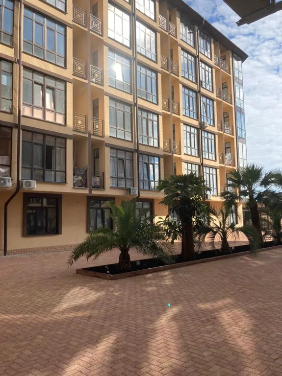 Квартира Квартира Новая студия рядом с Имеретинской бухтой и Олимпийским парком — Сириус