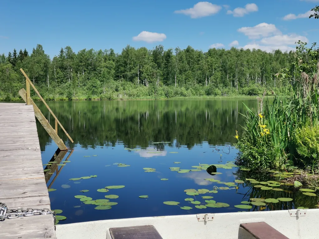 Большой дом на Валдае