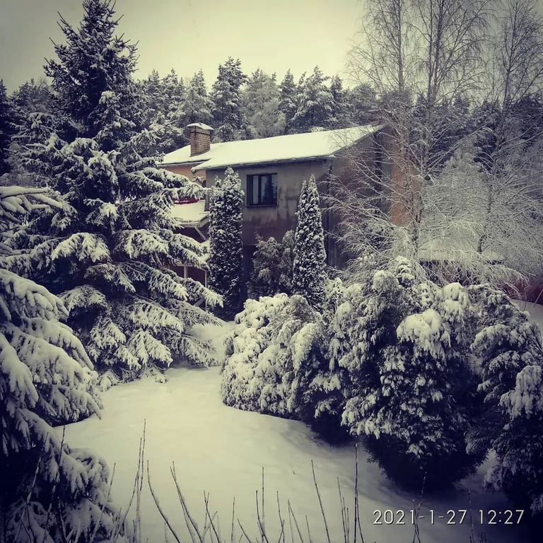 Элитный коттедж в сосновом бору под Минском