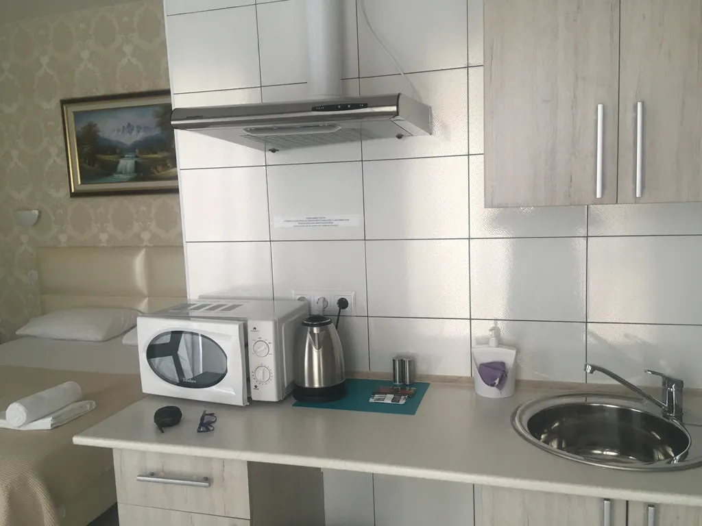 Квартира Просторная студия-комната в Олимпийском парке — аренда посуточно в Сириус