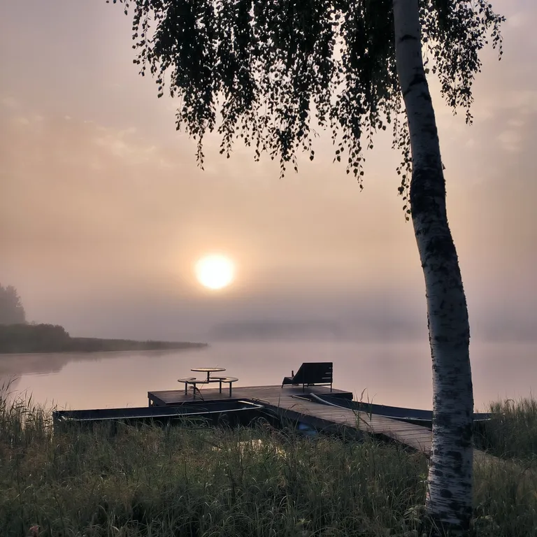 Дом на берегу озера с видом на лес