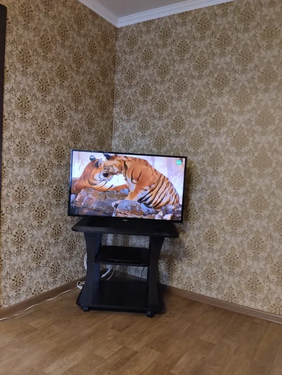 Квартира в центре, чистая, уютная, в прекрасном районе