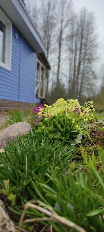 Коттедж Тёплый коттедж с баней на очень большой уединённой территории — Кротово