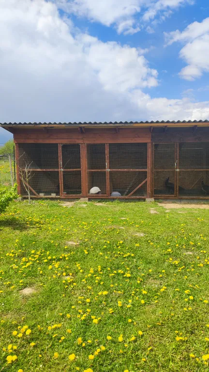 Агроусадьба с баней, на реке Птичь под Минском, с прудом