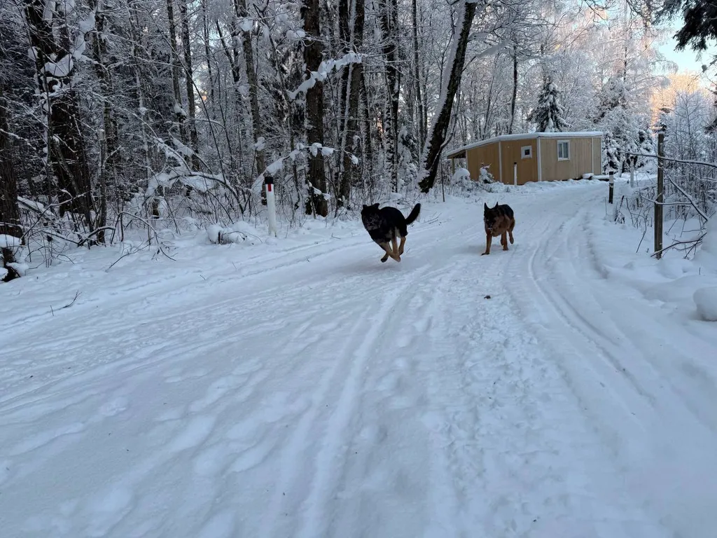 Дом Лес Маттила