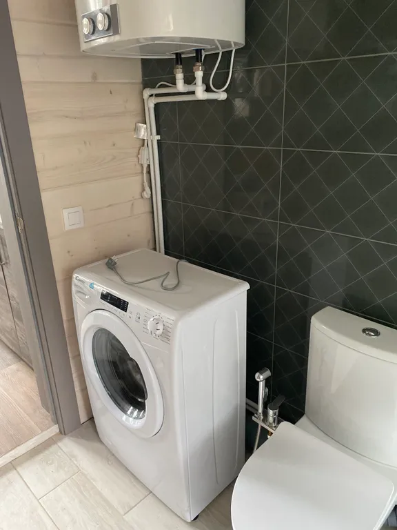 Снегири&Синички