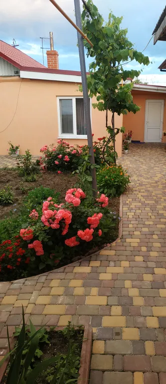 Дом на берегу Черного моря