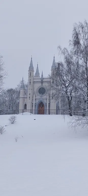 Большая квартира на Ольгином пруду.