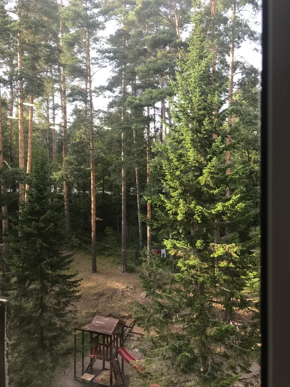 Квартира-студия с красивым видом на сосны