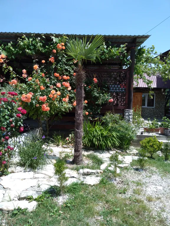 Частный сектор У Юры