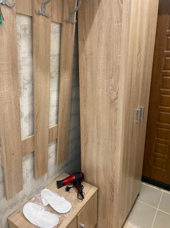 Квартира 1-комнатная Квартира — Сочи